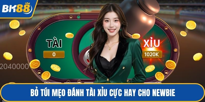 Bỏ túi mẹo đánh tài xỉu cực hay cho newbie