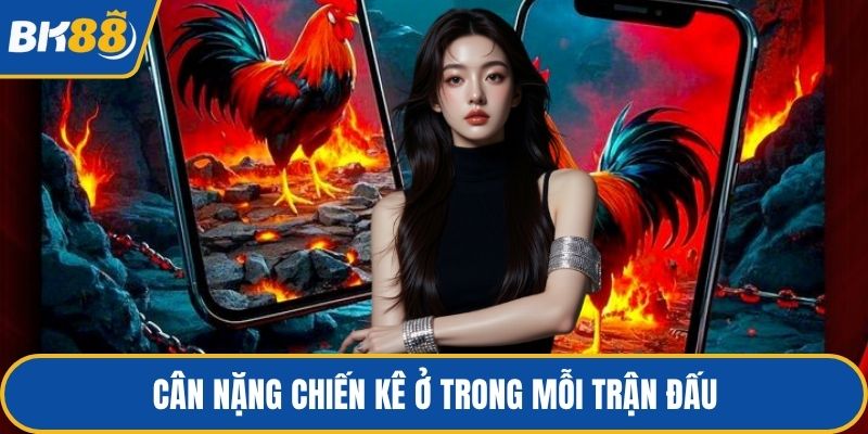 Cân nặng chiến kê ở trong mỗi trận đấu