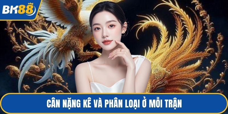 Cân nặng kê và phân loại ở mỗi trận
