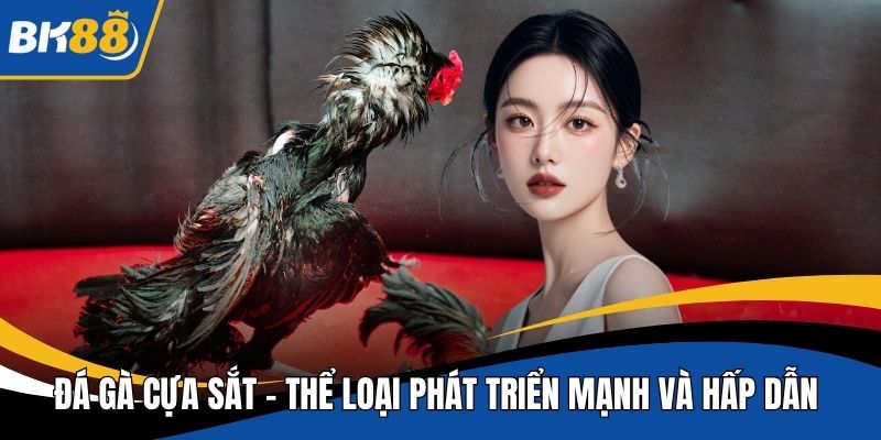 Đá gà cựa sắt