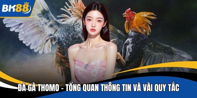 Đá gà thomo