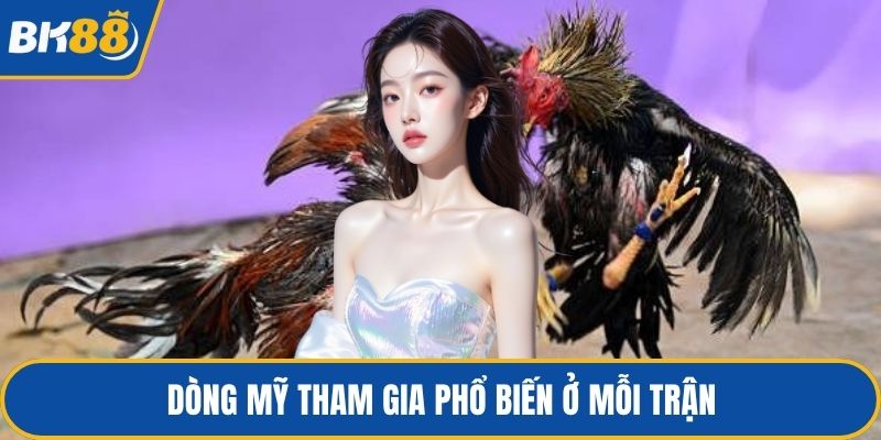 Dòng Mỹ tham gia phổ biến ở mỗi trận