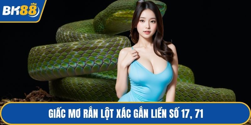 Giấc mơ rắn lột xác gắn liền số 17, 71