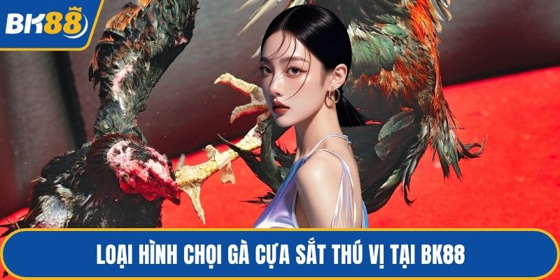 Loại hình chọi gà cựa sắt thú vị tại BK88