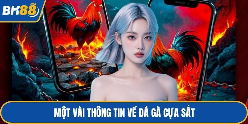 Một vài thông tin về đá gà cựa sắt