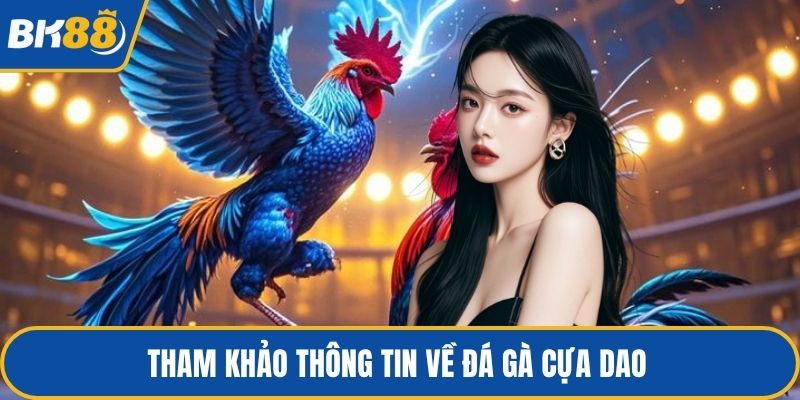 Tham khảo thông tin về đá gà cựa dao 