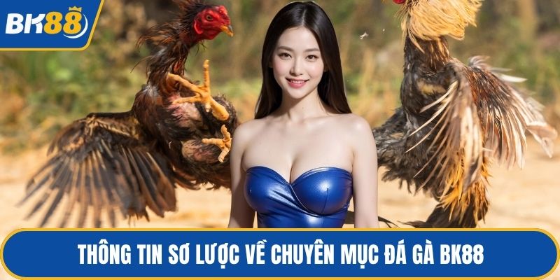 Thông tin sơ lược về chuyên mục đá gà BK88