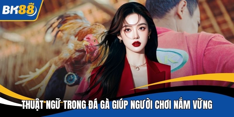 Thuật ngữ trong đá gà